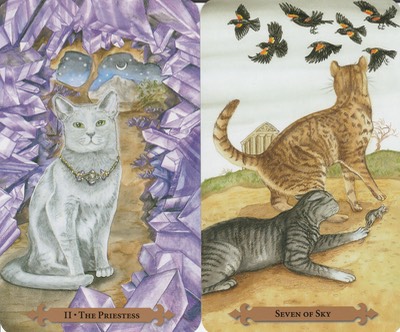 Cancer Mystical Cats Tarot Jan 2020 TS 20191230 0001