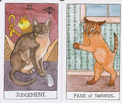 Cancer Cat Tarot Tarot Feb 2020 TS  20200117 0001