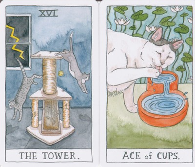 Scorpio Cat Tarot Tarot Feb 2020 TS  20200117 0001