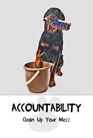 DDAccountability