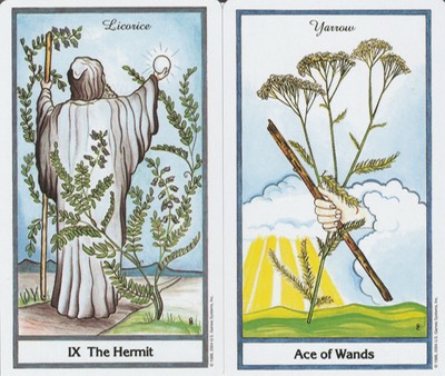 Capricorn Hermit Ace Wands Herbal Tarot April TS 20180318 0001