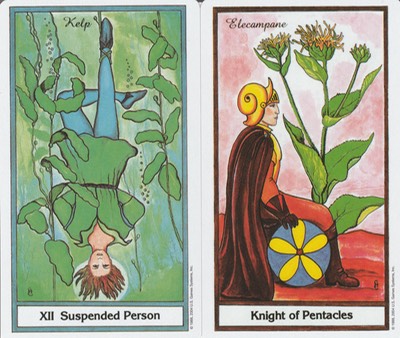 Taurus Suspended Person and Knight of Pentacles Herbal Tarot 20190426 0001