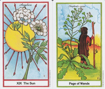 Virgo Sun and Page of Wands Herbal Tarot May 2019 20190426 0001