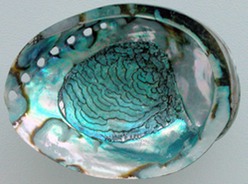 blue-green-Mother-of-pearl